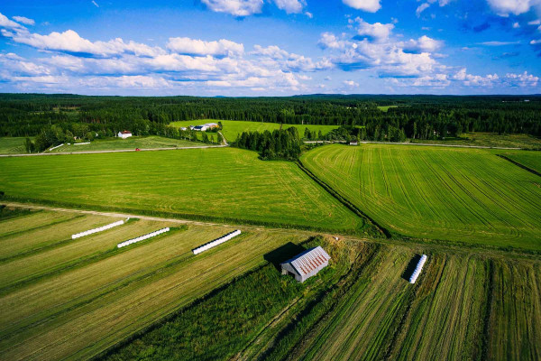 Segregar Fincas · Topógrafos para Servicios Topográficos y Geomáticos Cabanillas del Campo